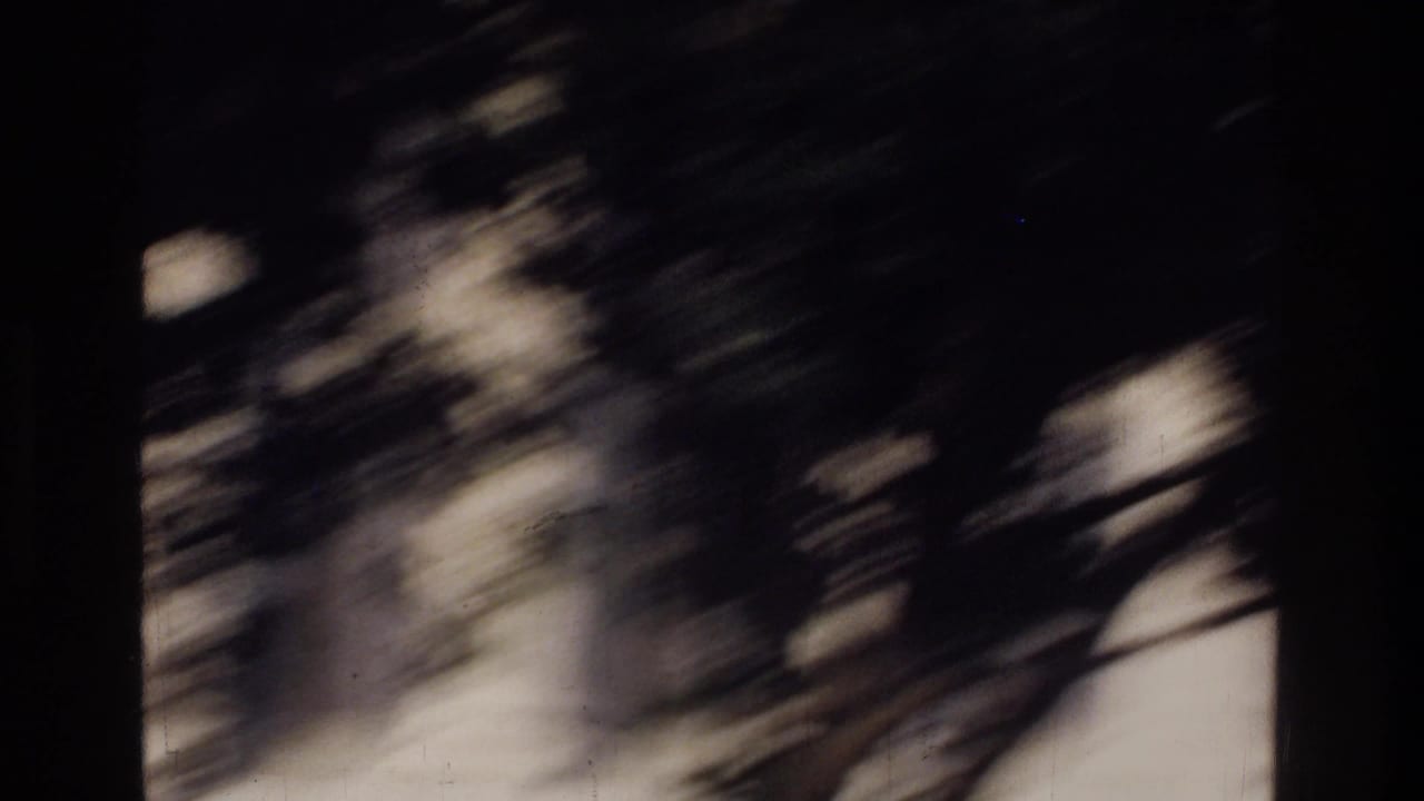 Heavily motion-blurred frame dominated by dark tree branches; almost no structural detail discernible.