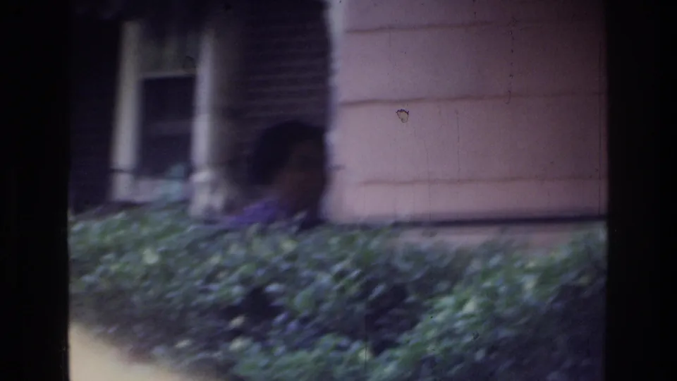 Woman in a patterned blouse partially obscured by shrubbery at the base of a large stone column, Washington DC area, circa 1975.