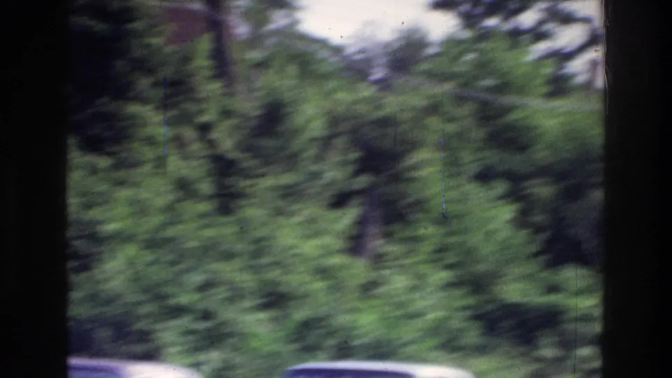 8mm film frame circa 1975 showing dense tree canopy and the roof of a dark-colored classic car at lower right, taken from a moving vehicle.