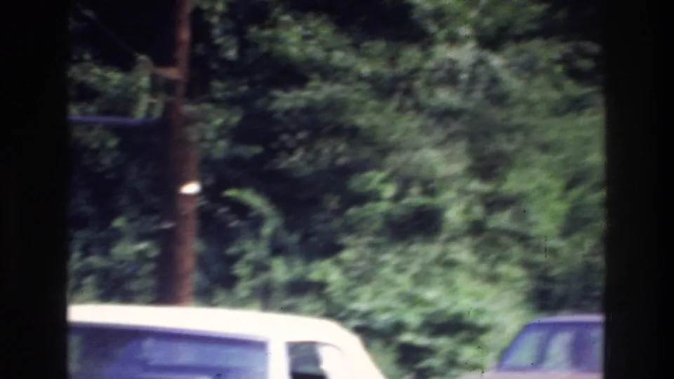 8mm home movie frame circa 1975 showing a suburban road lined with dense summer foliage, a utility pole, and the roof of a light-colored vehicle at lower left.