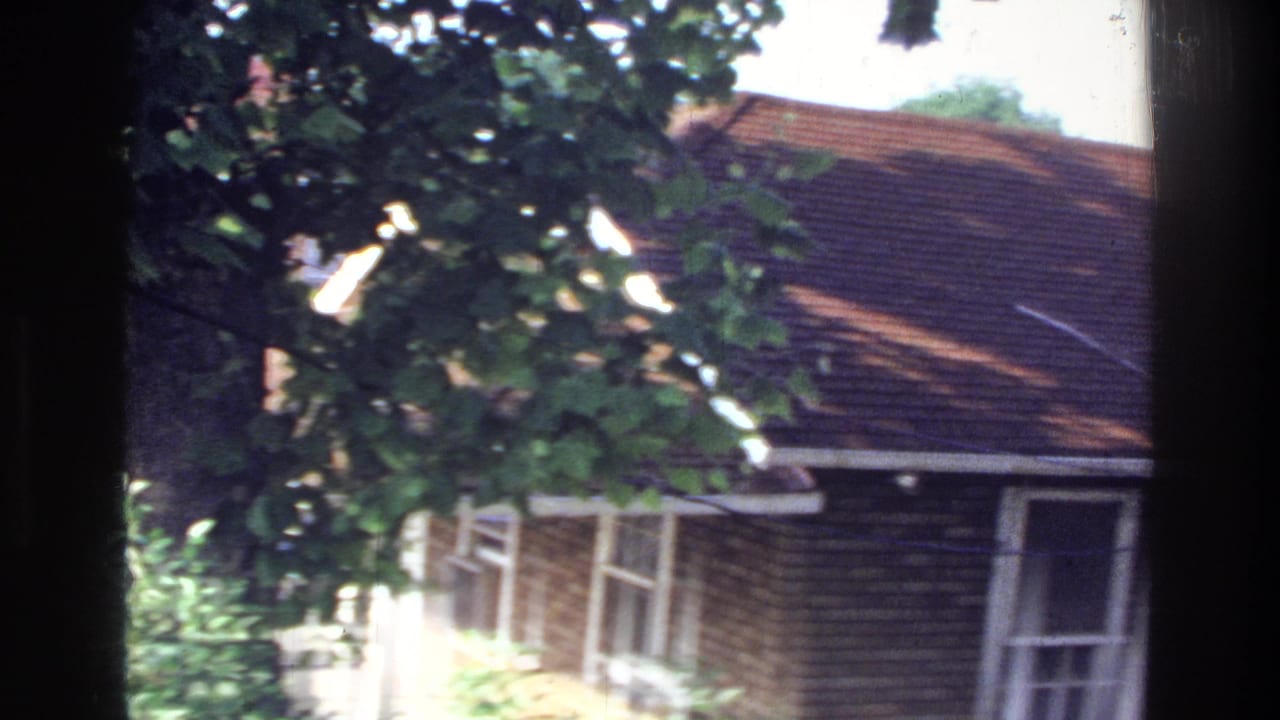 1970s American suburban brick house viewed past summer tree canopy, 8mm home movie consistent with Washington DC area, 1975.