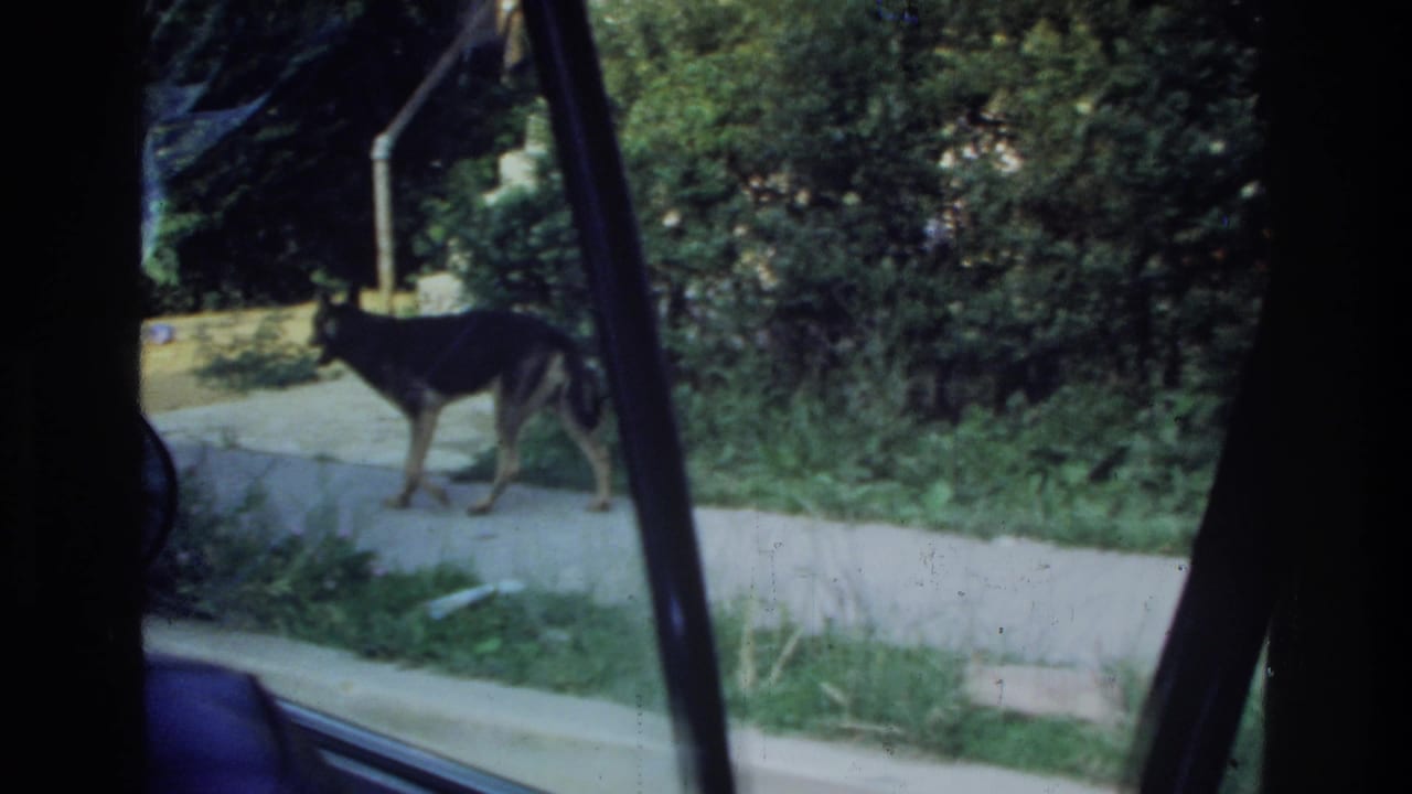 1975 Washington, DC home-movie frame showing a German Shepherd on a sidewalk viewed through a dark car window frame.