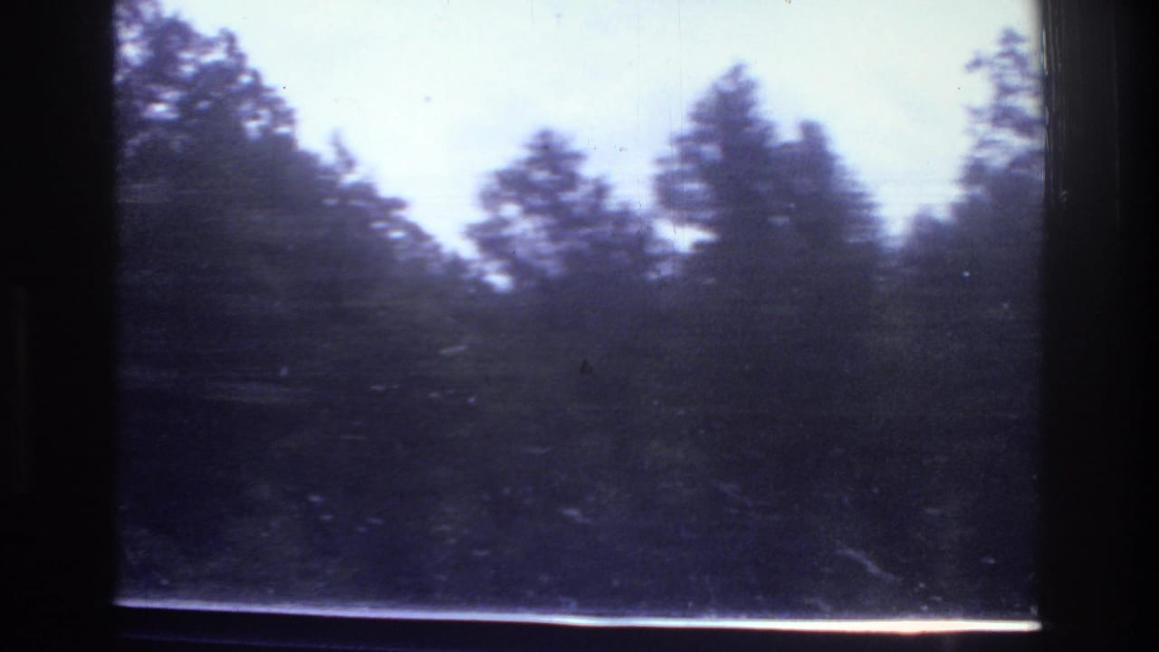 1975 8mm home movie: blurred conifers seen through a moving vehicle window, with strong purple-blue dye shift, dark interior border, and motion blur.
