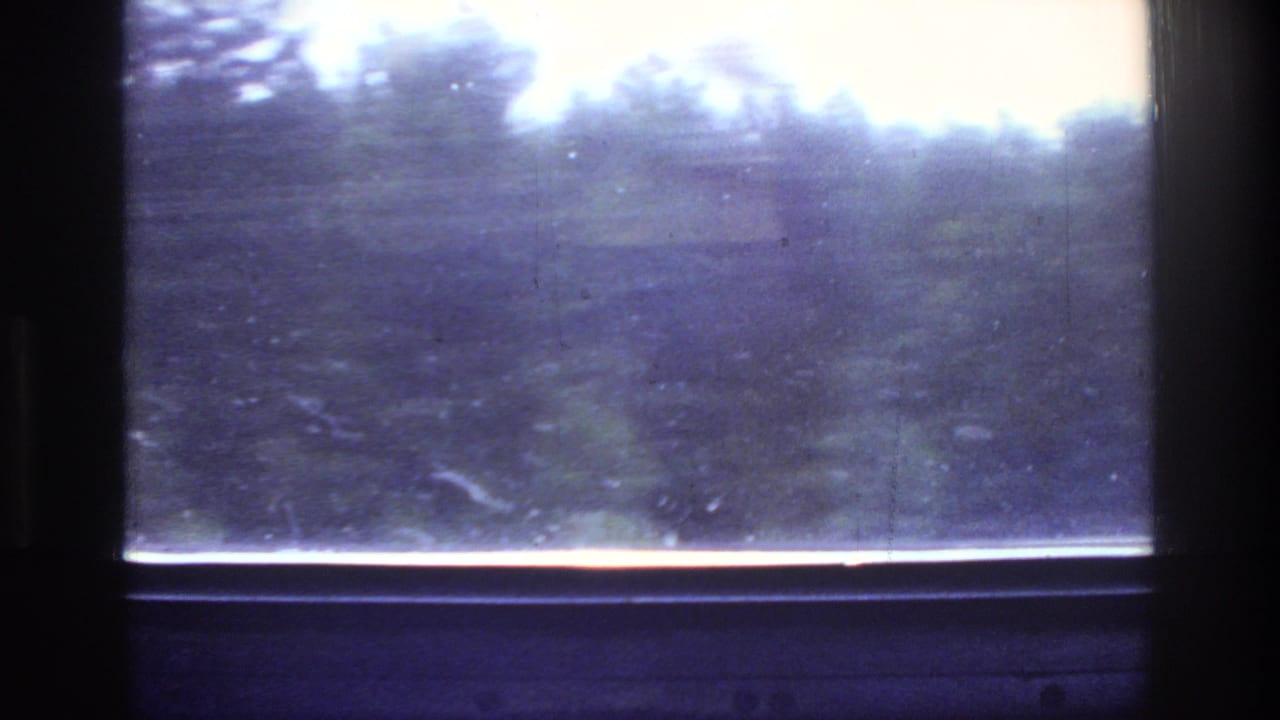 Vehicle window view with blurred mixed foliage, bright upper-right sky, orange-red light streak at window sill, and heavy purple-blue film cast.