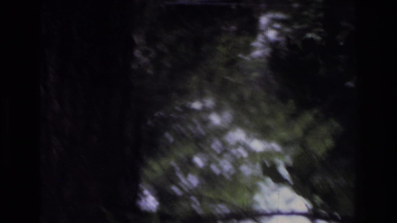 Nearly black transitional frame with green tree canopy at the right edge, consistent with a camera pan across an outdoor setting in 8mm home movie footage.