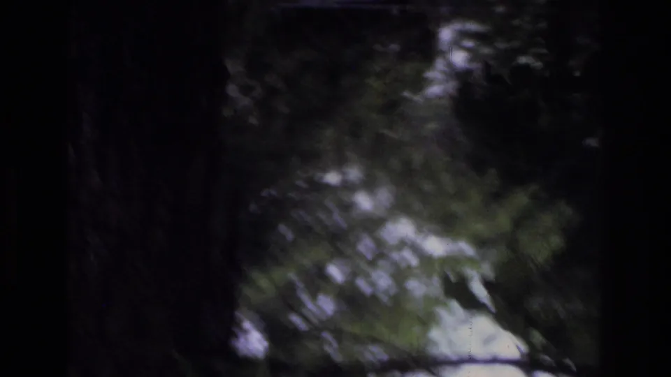 Nearly black transitional frame with green tree canopy at the right edge, consistent with a camera pan across an outdoor setting in 8mm home movie footage.