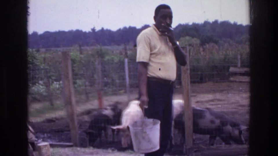 A man in a cream short-sleeve shirt stands at a hog pen fence on a rural farm, circa 1975; a white bucket rests near his feet, hogs are visible behind the wire, and open fields with a distant treeline fill the background.