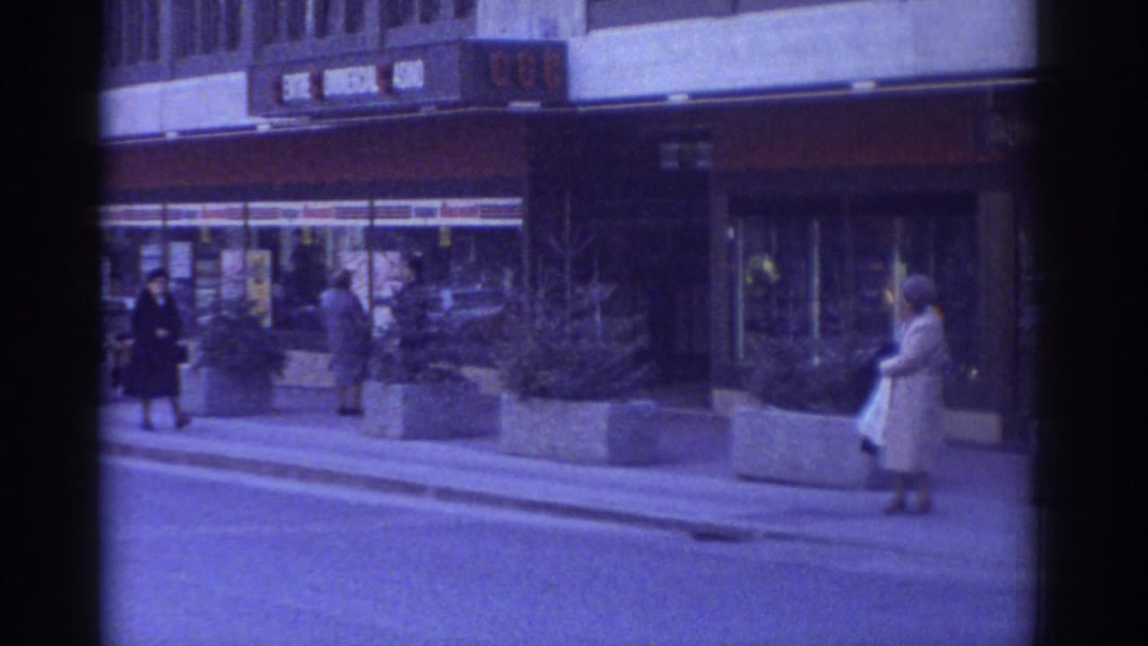Pedestrians walk past concrete planters and storefronts on a city street, Bern, 1976.