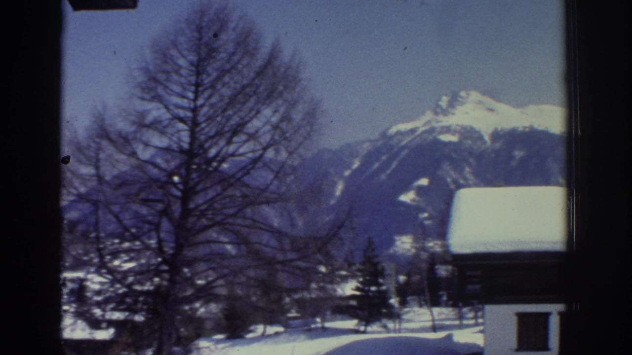 Bare deciduous tree in foreground, snow-capped mountain peak behind, snow-covered rooftop visible at right edge, winter alpine scene.