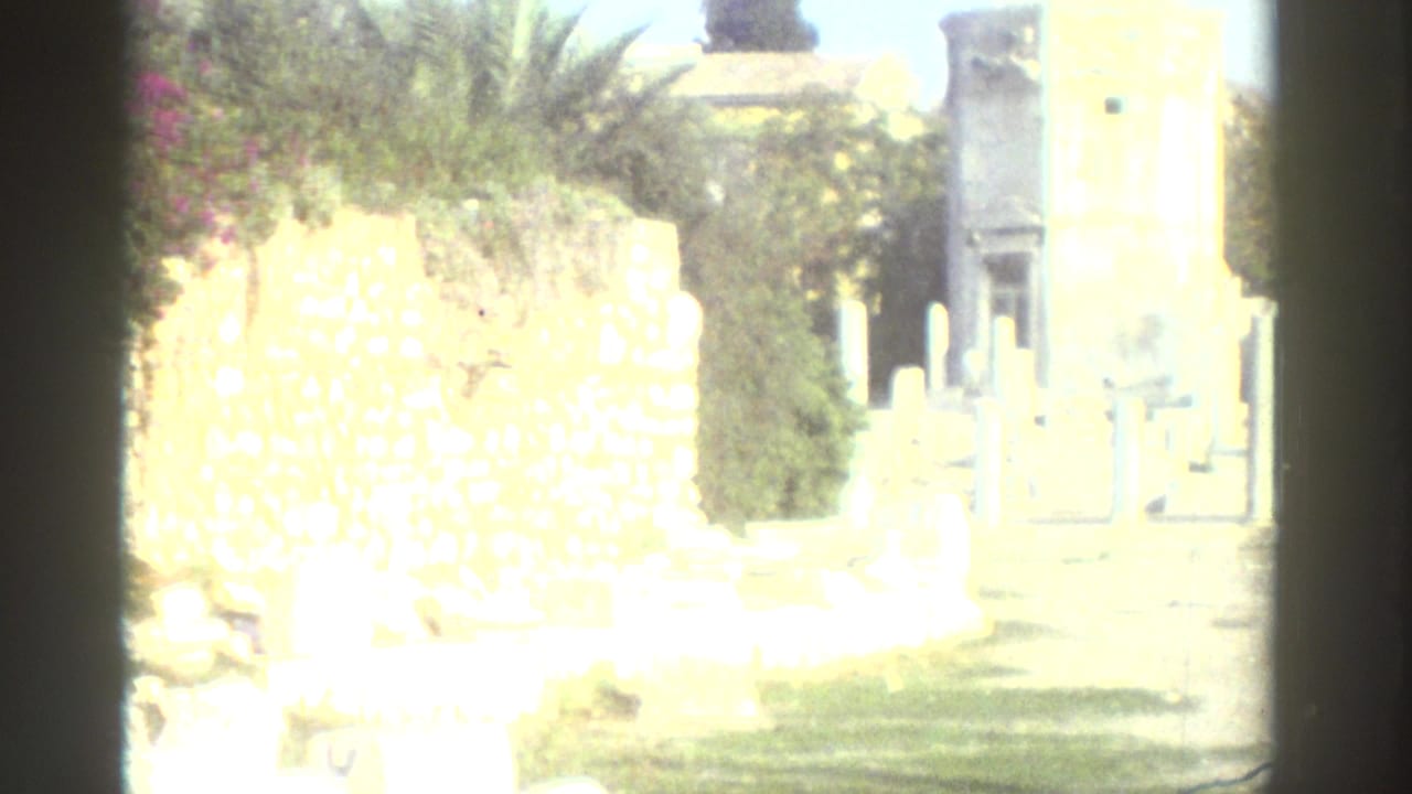 Close view of ancient stone ruins with a low limestone wall, columns beyond, and flowering plants at the frame edge, shot on 8mm film.