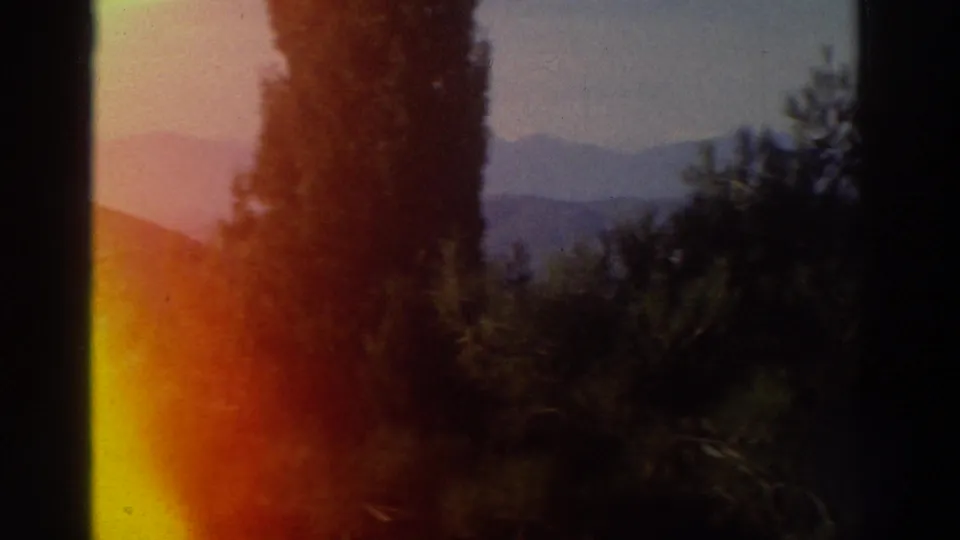 End-of-clip frame with severe orange-red light leak; tall conifer and distant mountain ridgeline visible at right edge, sky pink-purple.
