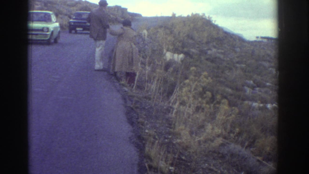 Two adults and a goat stand beside a narrow road as cars approach or wait behind them.