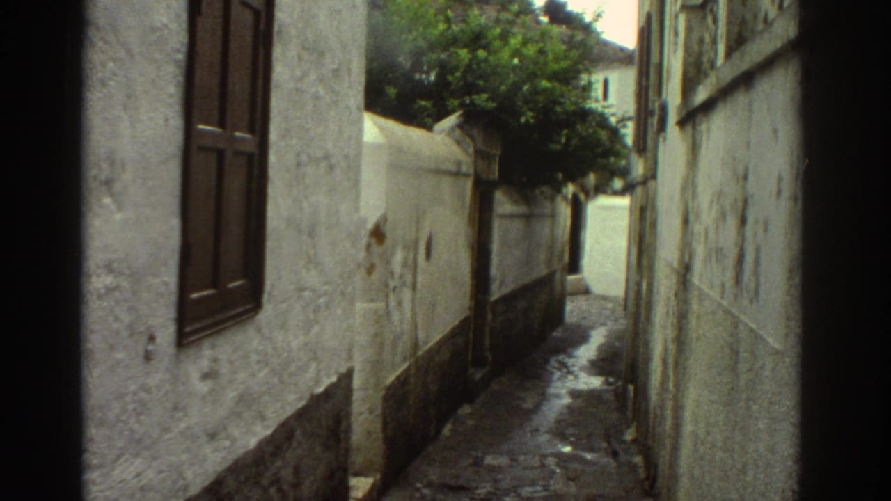 Narrow lane between white stucco buildings with wooden shutters and a tree ahead.