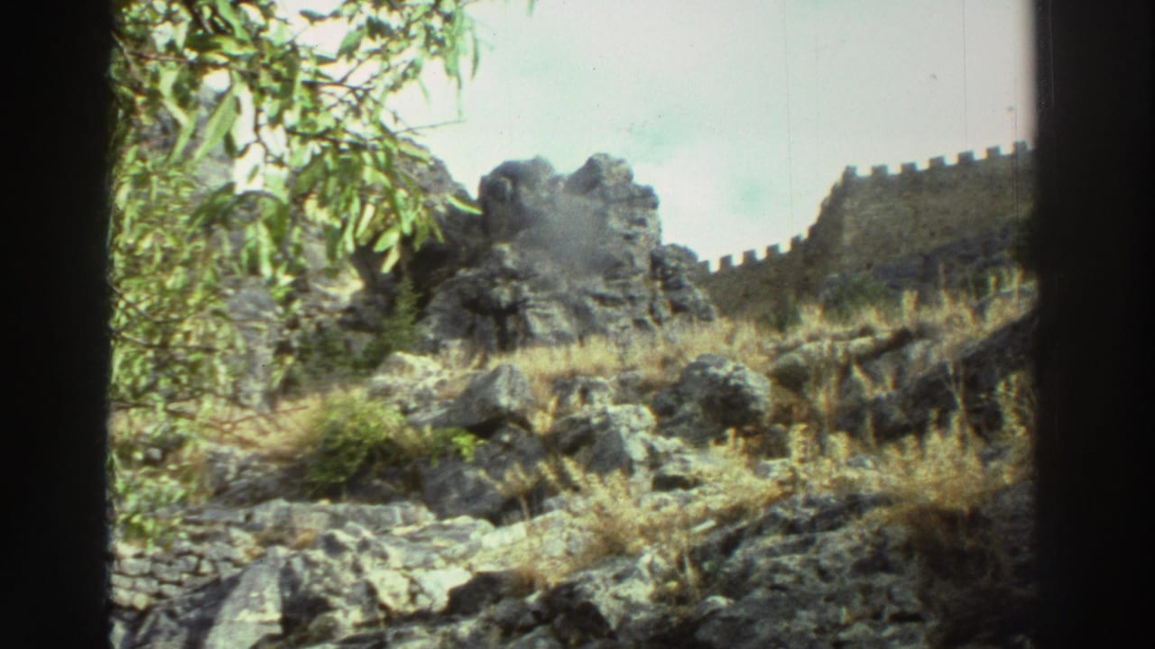 Rocky hillside with dry grass, tree branches, and crenellated stone wall.