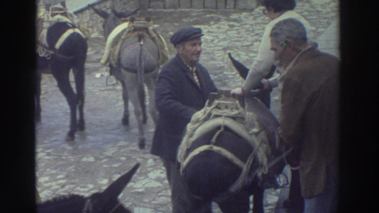 Men stand with loaded donkeys on a cobblestone street beside stone walls.