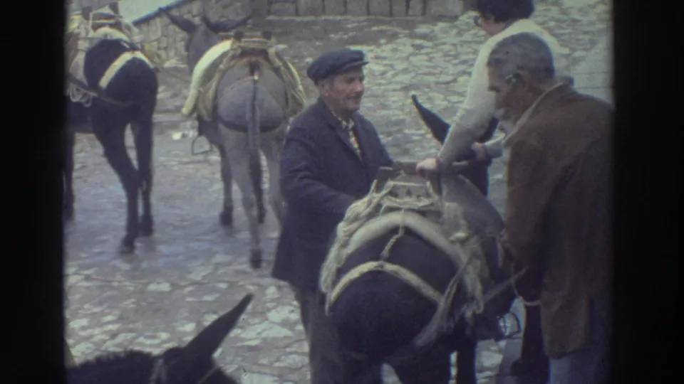In a Greek village setting, men appear to adjust or discuss a donkey load while other saddled animals wait nearby.