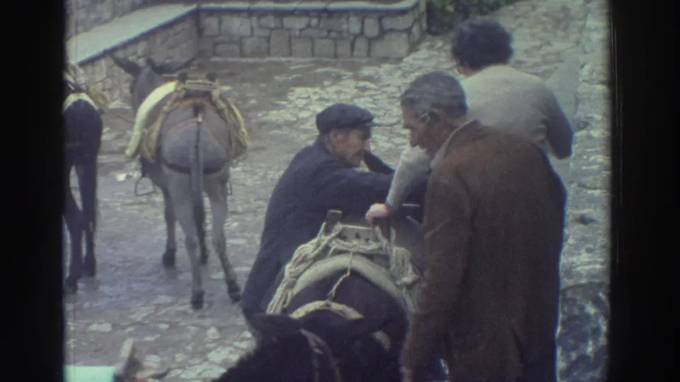 Men in coats work around a saddled donkey or mule on a cobblestone street, with other pack animals ahead.