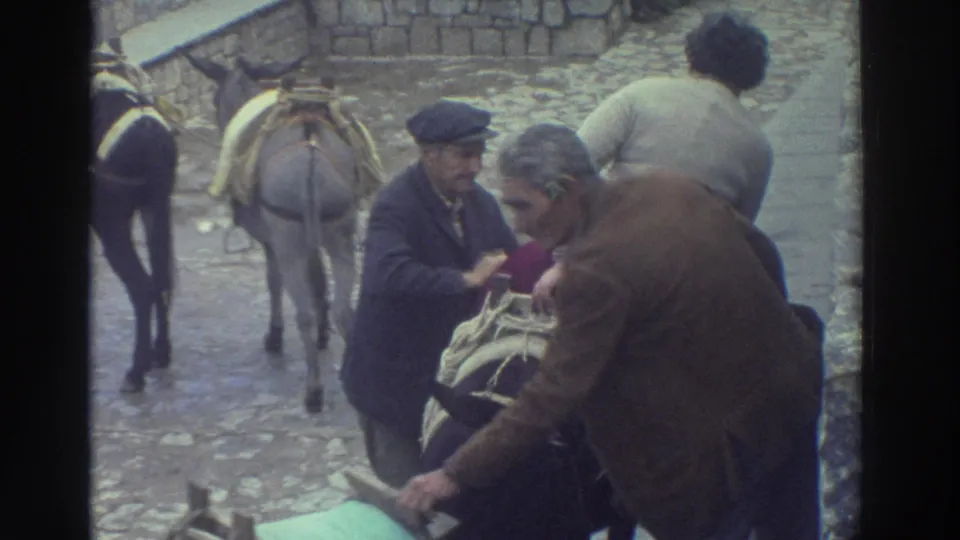 A man reaches toward a donkey load while another man in a cap watches, continuing the rural transport preparation scene.