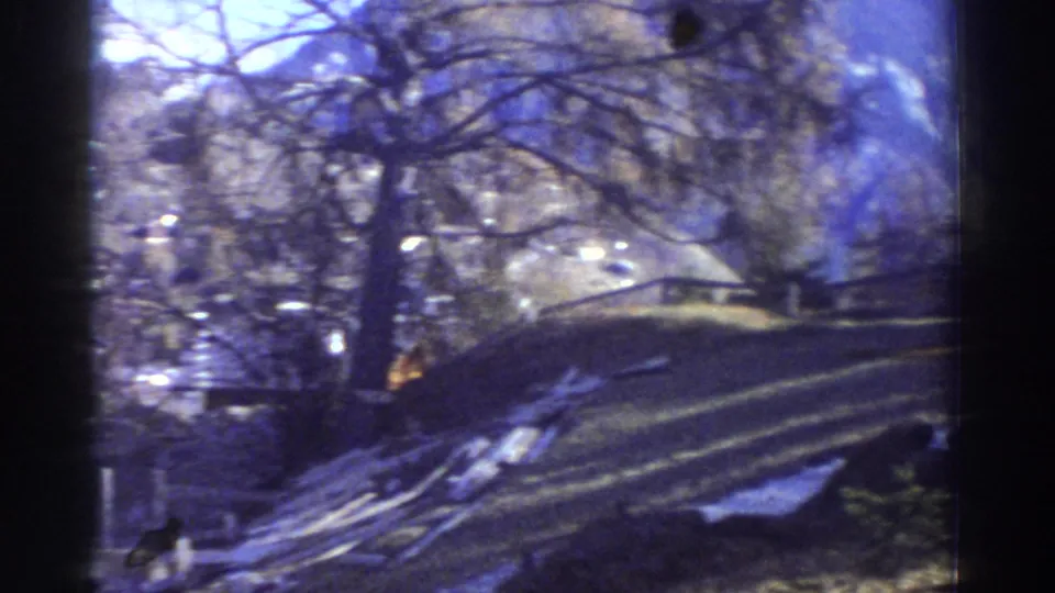 1976 Greece 8mm frame showing a shaded hillside road with patchy snow, bare trees, and soft blue color shifts from the film scan.