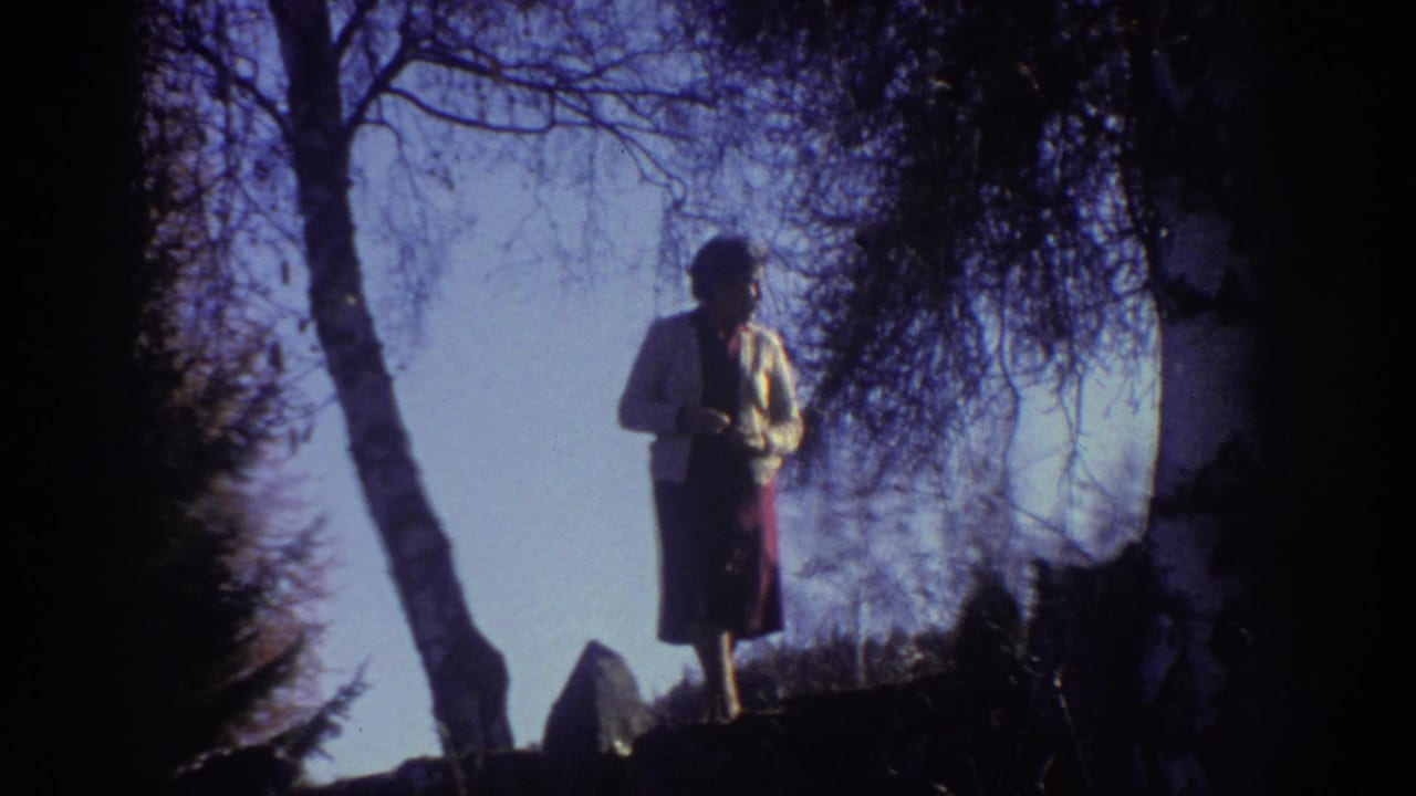 Elderly woman stands among dark tree silhouettes on a rocky wooded slope.