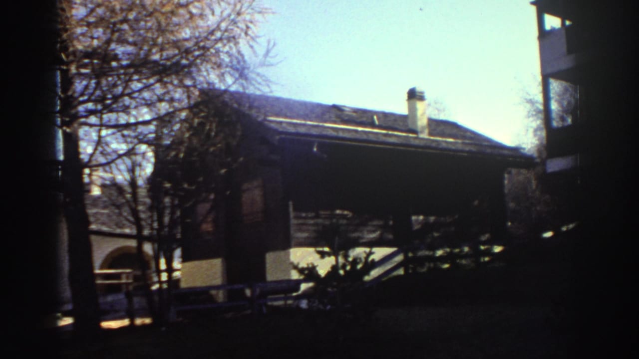 Dark wooden house with trees, chimney, and bright sky behind it.
