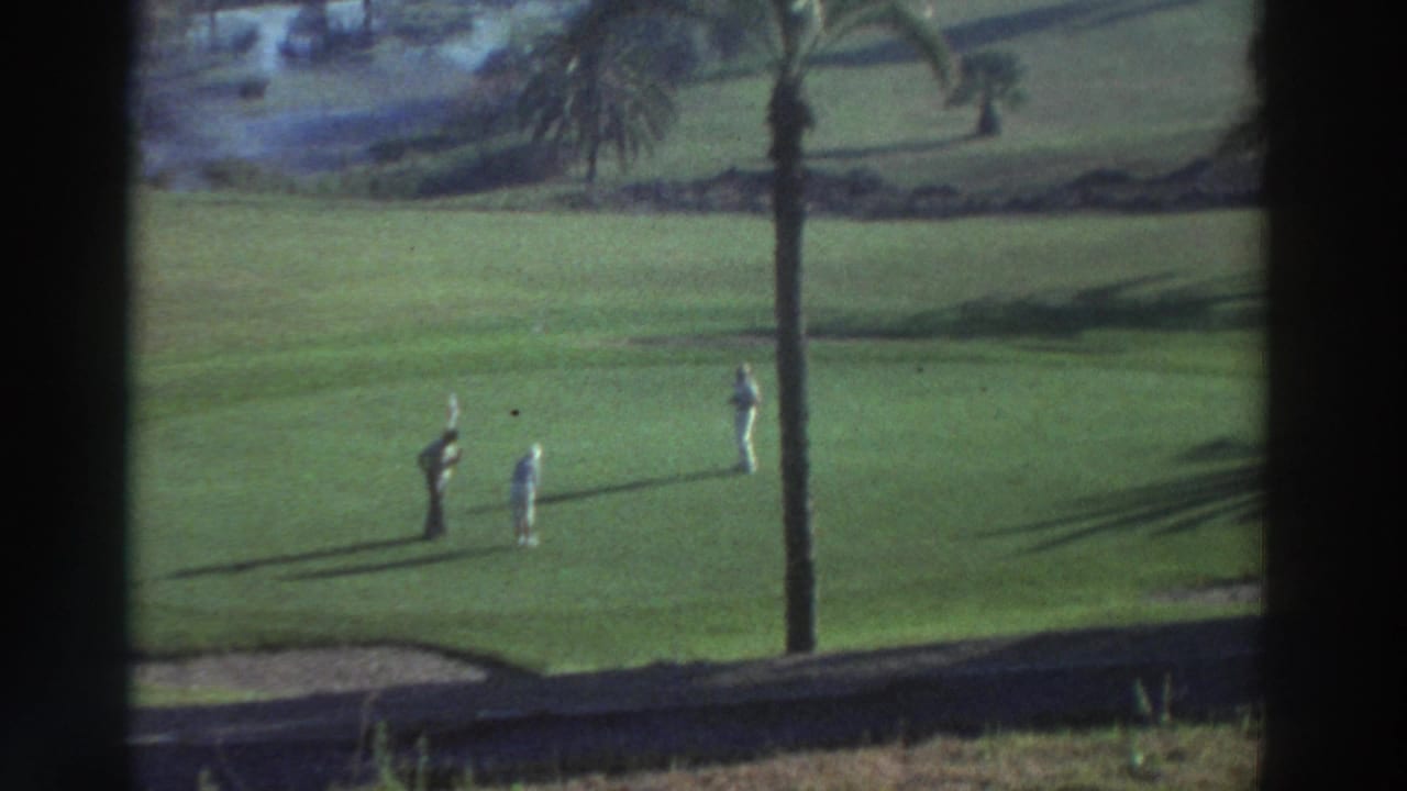 Distant 8mm view of golfers on a green in Greece, with a tall palm trunk, soft focus, and saturated course grass.