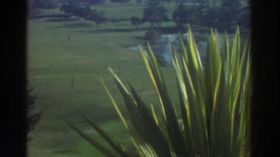 1976 Greece 8mm frame looking across landscaped grass and distant trees, with tall spiky leaves in the foreground.