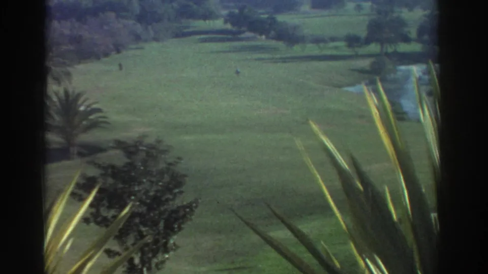 1976 Greece 8mm frame of a broad green course or landscaped grounds with palms, shrubs, and distant small figures.