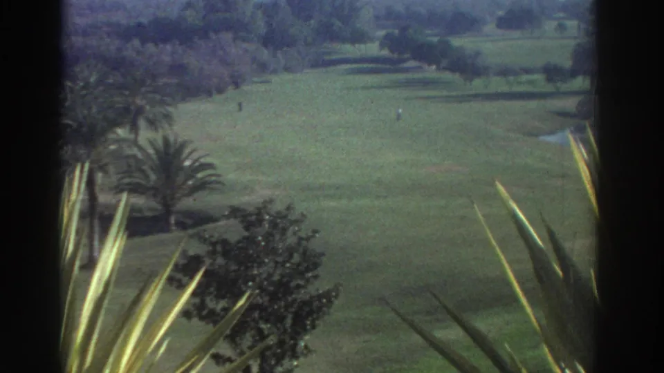 1976 Greece 8mm frame of open resort or golf-course grounds with palm trees, spiky foreground leaves, and small distant people.