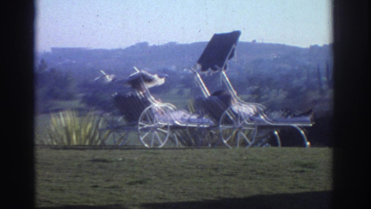 Outdoor lounge chairs with large raised shades rest on a grassy area, with shrubs and hazy hills in the background.