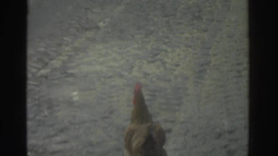 1976 Greece 8mm frame where the chicken drops partly out of view at the bottom of a cobbled street seen through bars.