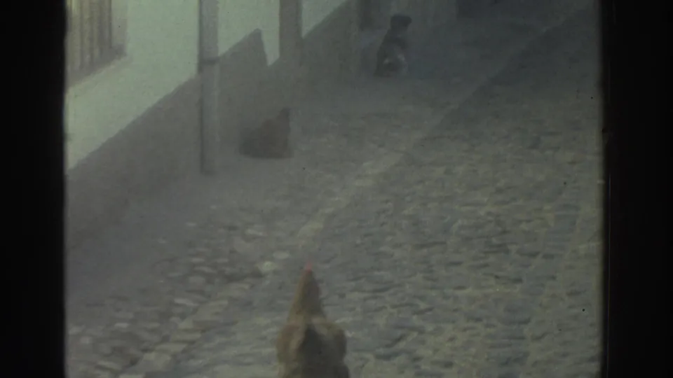 1976 Greece 8mm frame showing the chicken near the bottom edge, with a cobbled lane and pale building frontage beyond.