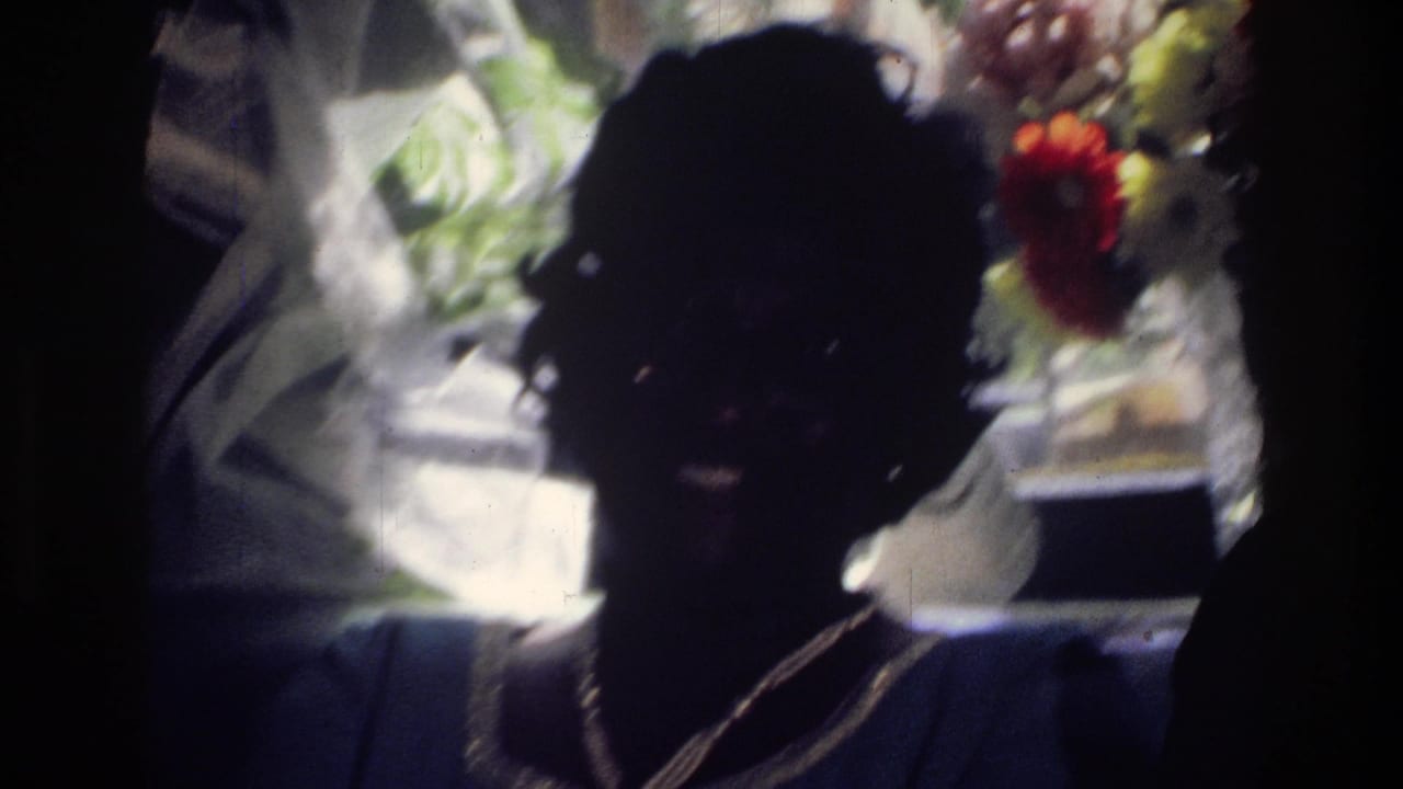 Backlit 1976 Harlem home-movie frame of a seated woman in a dim interior with flowers and window light behind her.