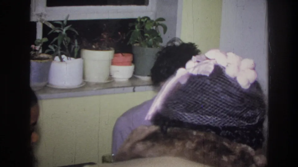 In the final frame, partial figures fill the foreground while the seated woman is partly obscured beneath a plant-lined window.