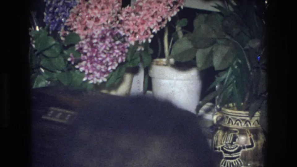 Indoor 1976 Harlem frame showing the back of a person's head with pink flowers, white vases, and a decorative urn behind them.