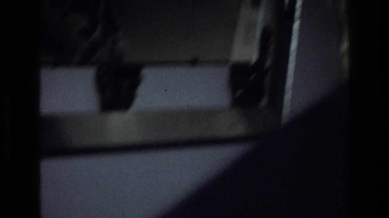 Dim interior detail with a pale panel and dark hanging or structural shapes.