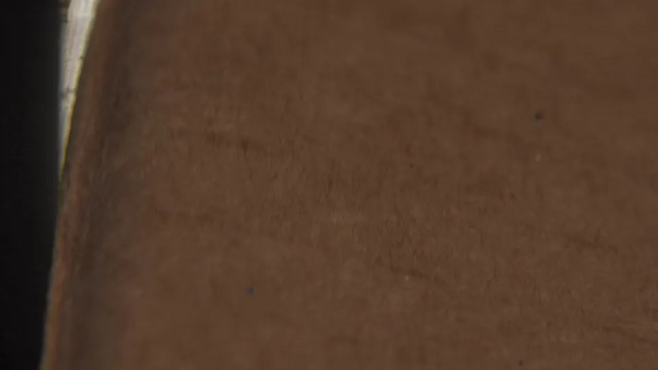 The final 8mm frame is largely blocked by a warm brown foreground shape, with only film grain and a dark vertical edge visible.