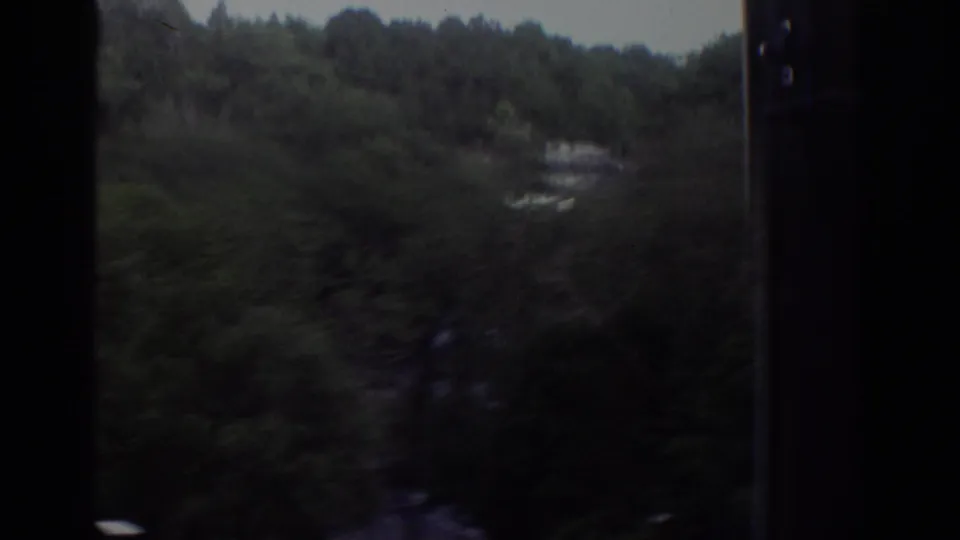 Soft 8mm footage from the Watkins Glen trip shows dark trees and water, likely seen during movement near the lake or shore.