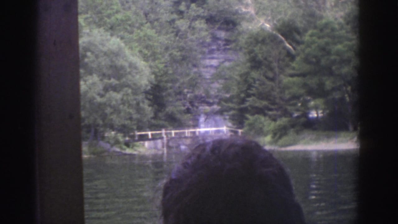 Forested shoreline with water, a low bridge, rock face, and the back of a passenger's head.