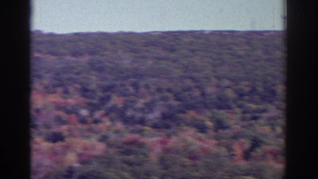 Soft view across rolling wooded hills with red and orange autumn foliage.