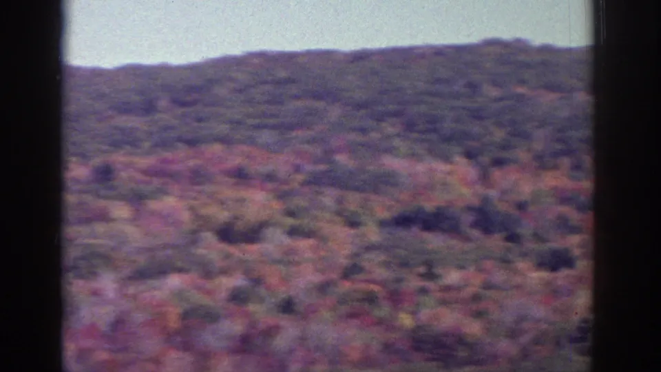 Watkins Glen autumn landscape on 8mm film, showing a blurred sweep of wooded hillside and low ridge under pale sky.