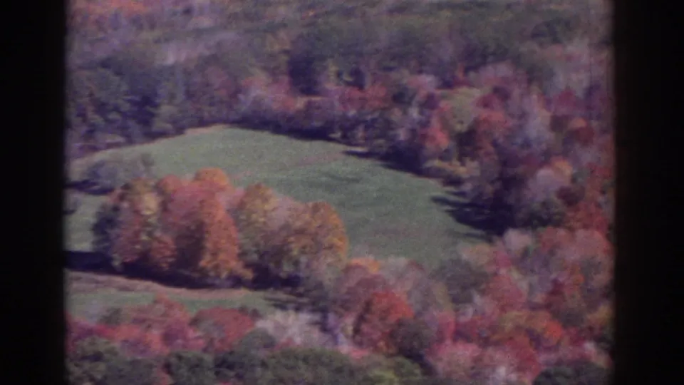 1976 Watkins Glen frame with a green clearing surrounded by autumn trees, dense woods, and soft home-movie film texture.