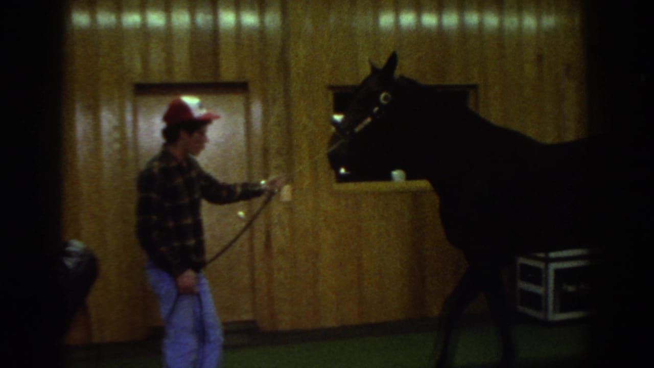 Watkins Glen 1976 home-movie frame showing a man in plaid and a red cap leading a dark horse past wood-paneled walls.