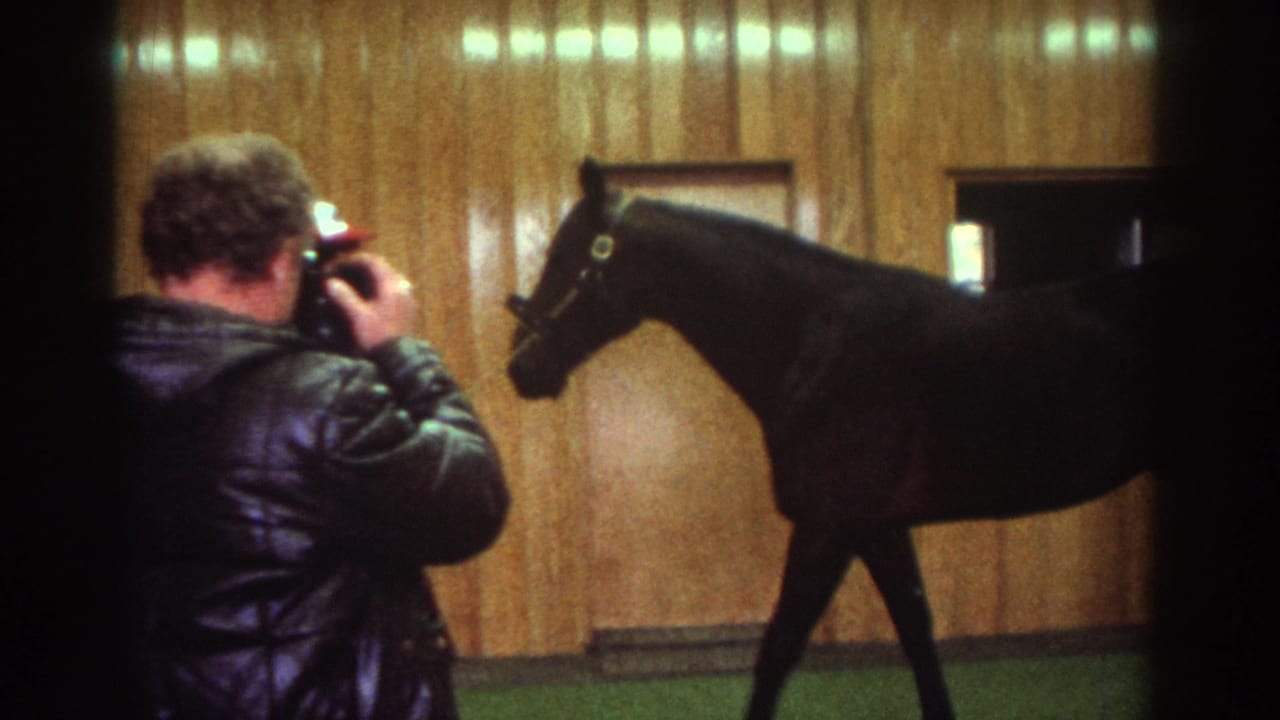 Watkins Glen 1976 frame with an adult man holding a camera toward a dark horse in a wood-paneled indoor arena.