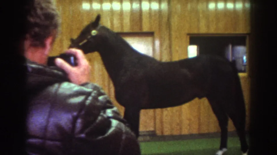 Watkins Glen 1976 frame of a leather-jacketed man photographing a dark horse against wood-paneled interior walls.