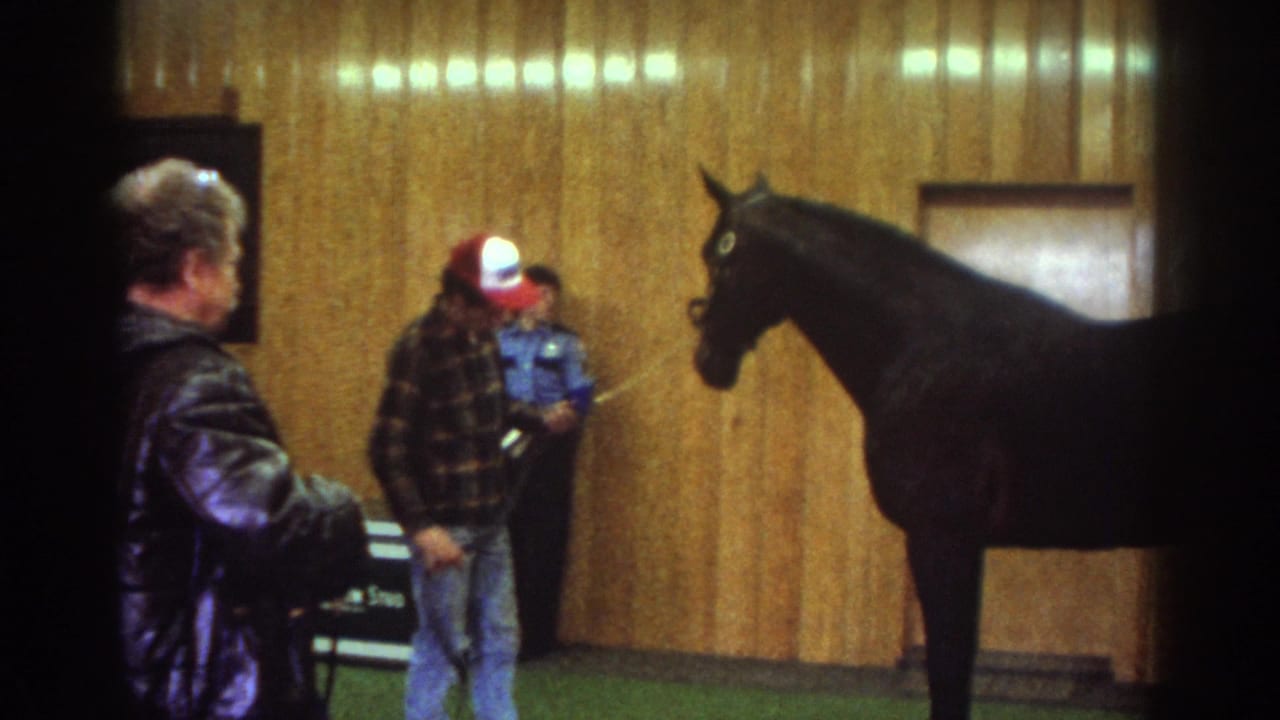 Watkins Glen 1976 frame with a black horse, a handler in a red cap, a woman in blue, and a man in a leather jacket inside a paneled room.