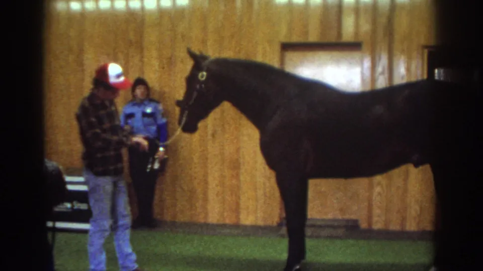 Watkins Glen 1976 frame showing a handler in plaid holding the reins of a black horse while a woman in blue stands behind him indoors.