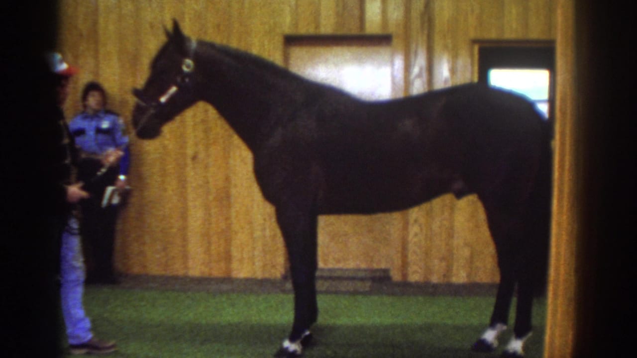 1976 Watkins Glen footage frame with a black horse in side view, a partial handler, blue-uniformed staff, and indoor wood paneling.