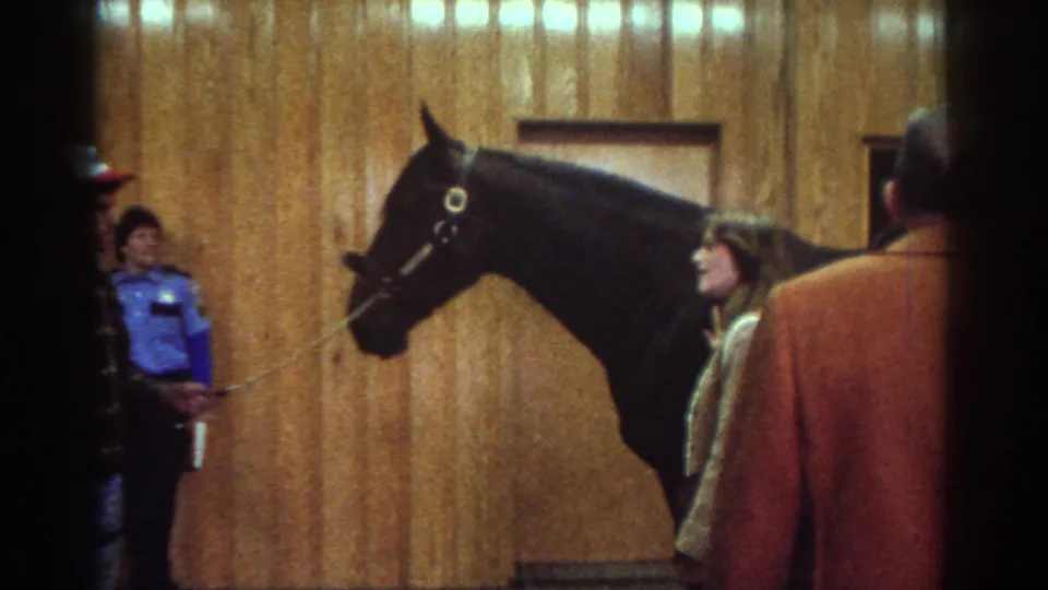 1976 Watkins Glen home-movie frame showing a woman near the horse's head while staff and onlookers stand in the indoor space.