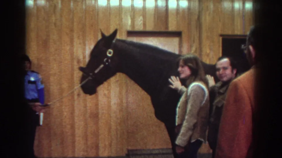 1976 Watkins Glen frame showing a woman touching the black horse's neck or face as an onlooker smiles in the indoor event space.